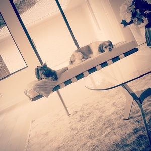 Meet your Posher, Abigale